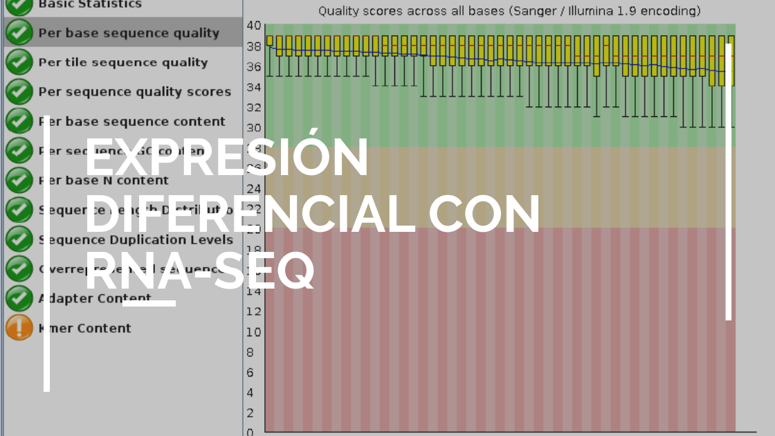 Curso: expresión diferencial con RNA-Seq