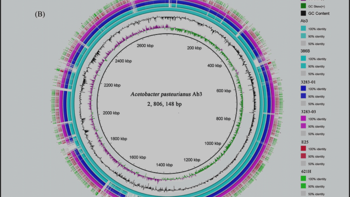 Genómica comparativa
