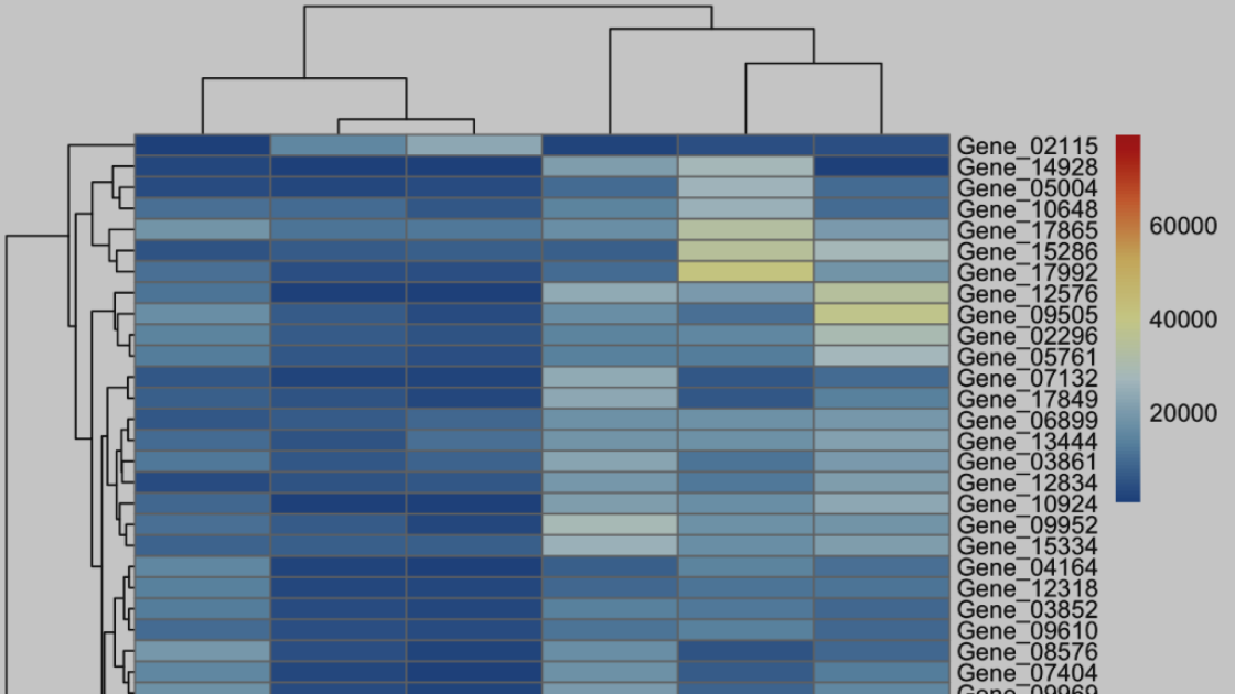 Creación de gráficas