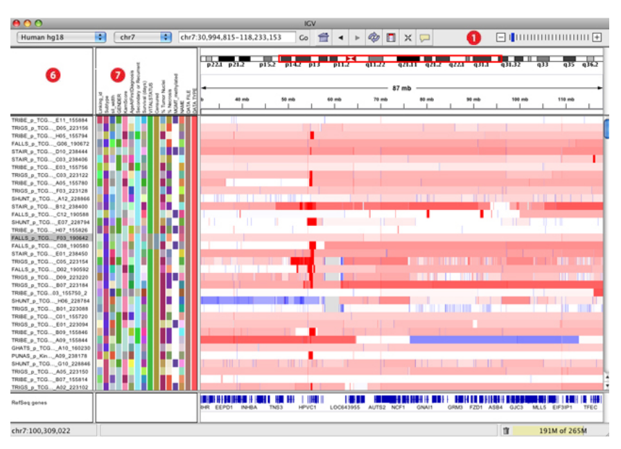 Bioinformática y NGS